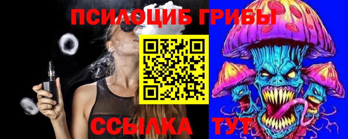 где продают наркотики  Вход с VPN  Черкесск  Псилоцибиновые грибы прущие грибы  Псилоцибиновые грибы Cubensis 